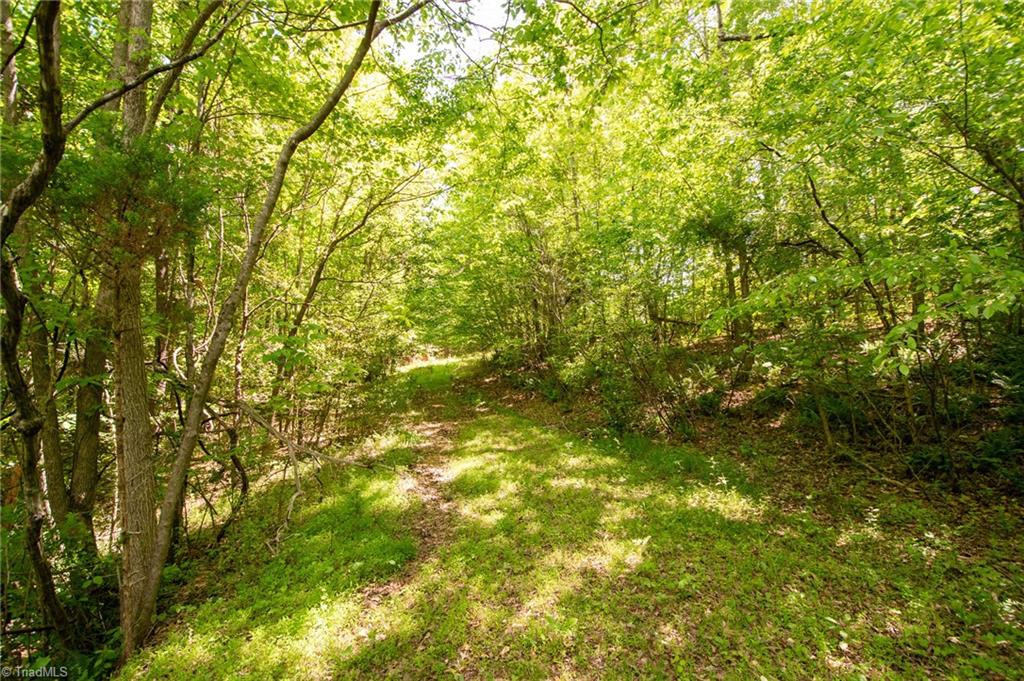 4100 High Rock Road, Gibsonville, North Carolina image 26
