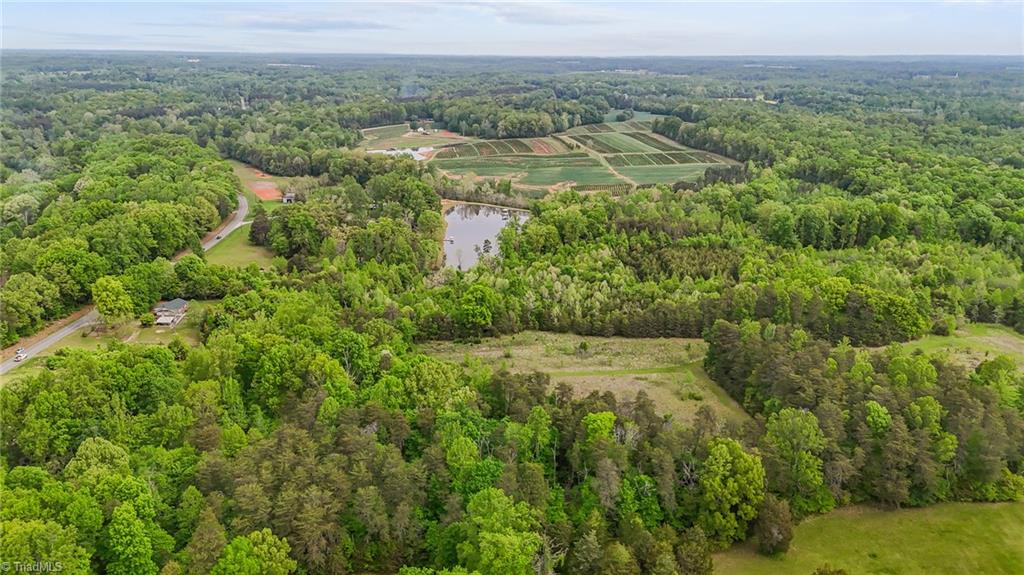 4100 High Rock Road, Gibsonville, North Carolina image 7