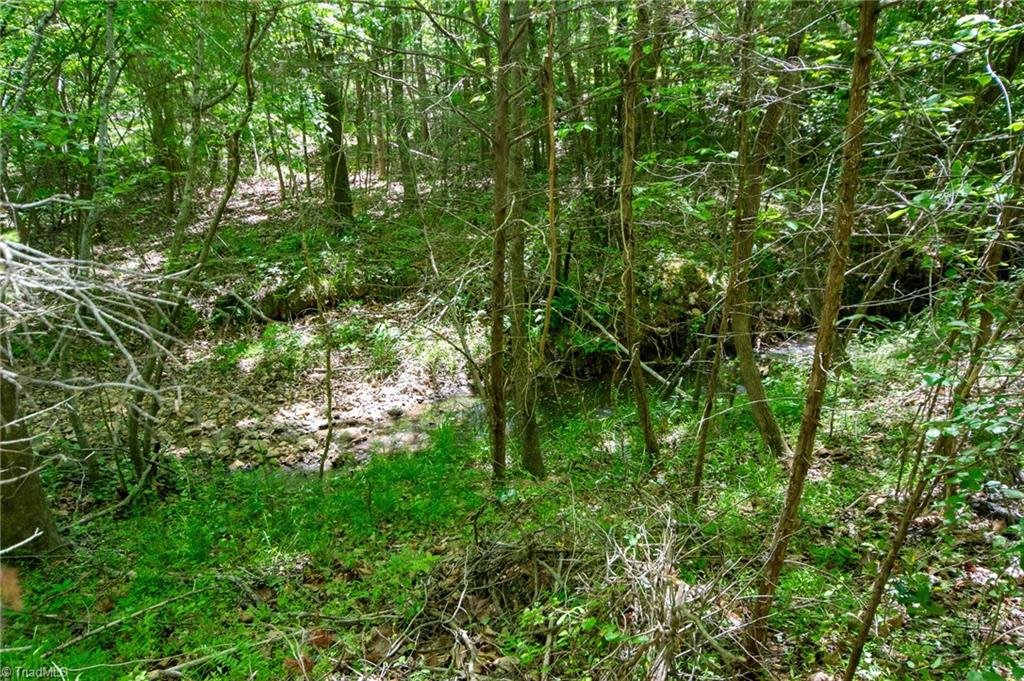 4100 High Rock Road, Gibsonville, North Carolina image 29