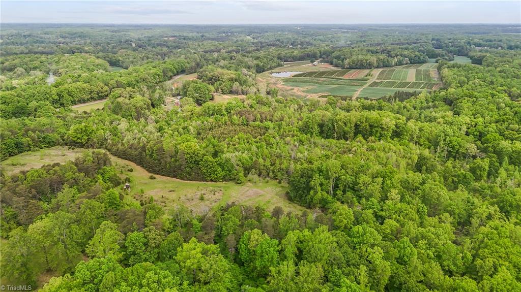 4100 High Rock Road, Gibsonville, North Carolina image 10