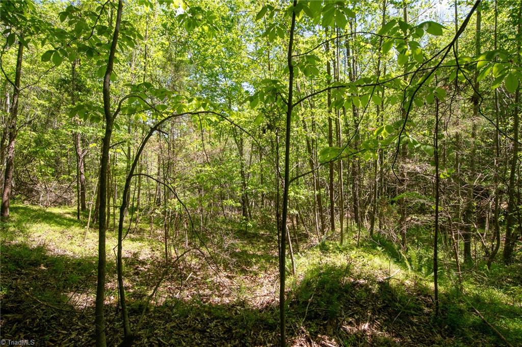 4100 High Rock Road, Gibsonville, North Carolina image 30