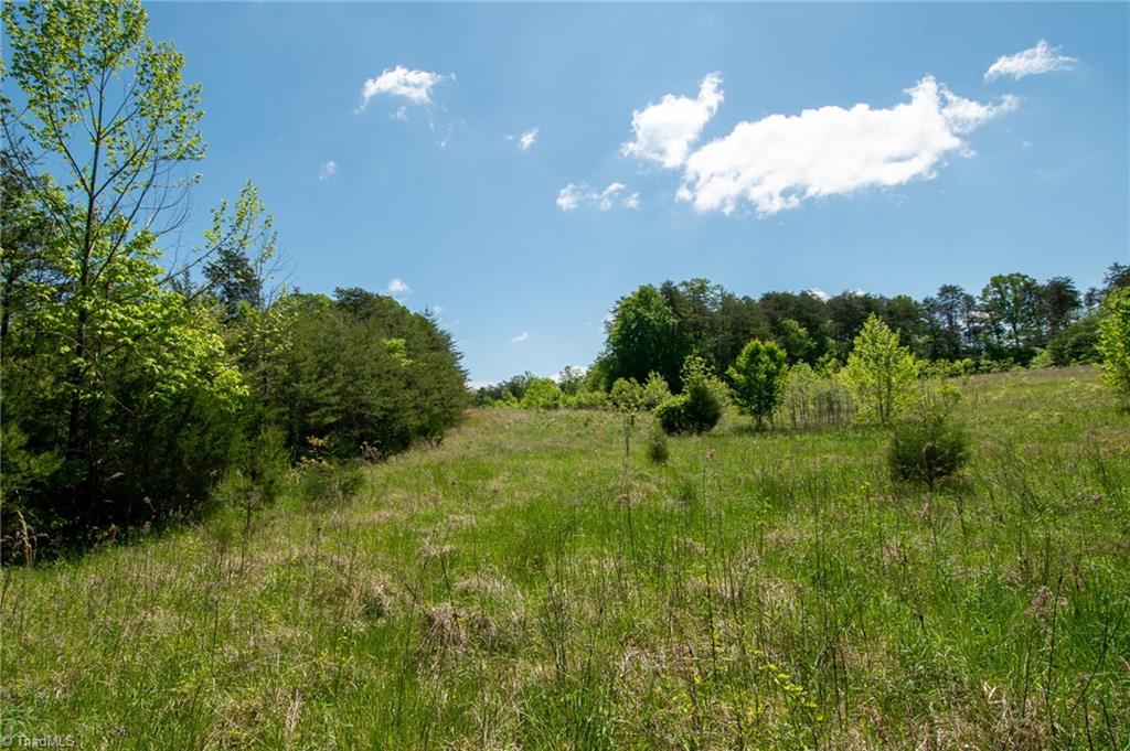 4100 High Rock Road, Gibsonville, North Carolina image 25