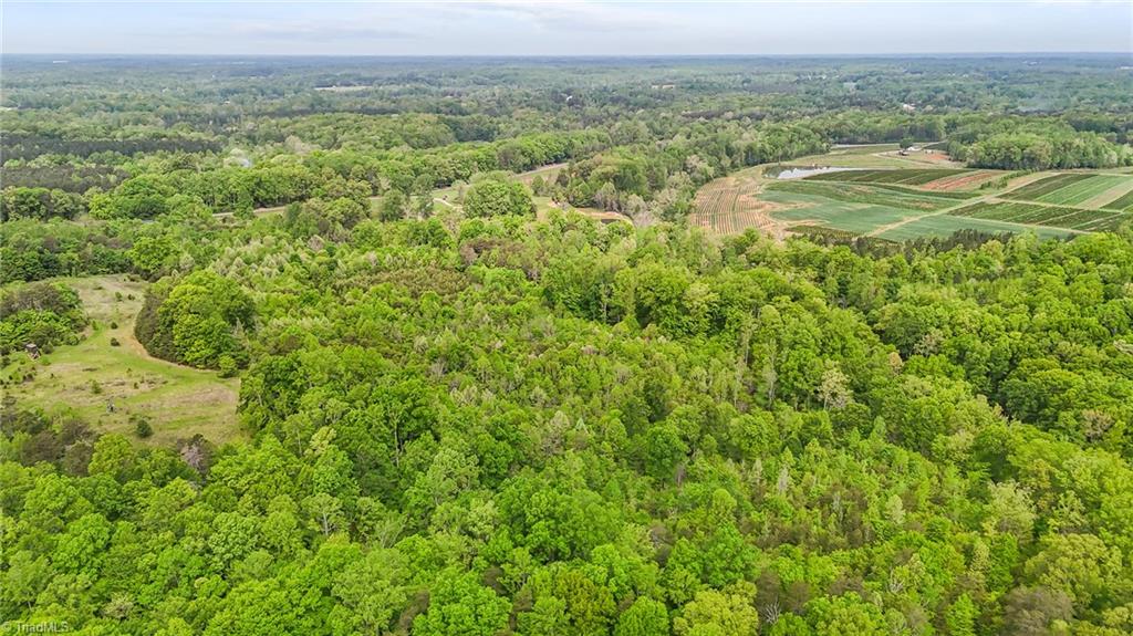 4100 High Rock Road, Gibsonville, North Carolina image 12