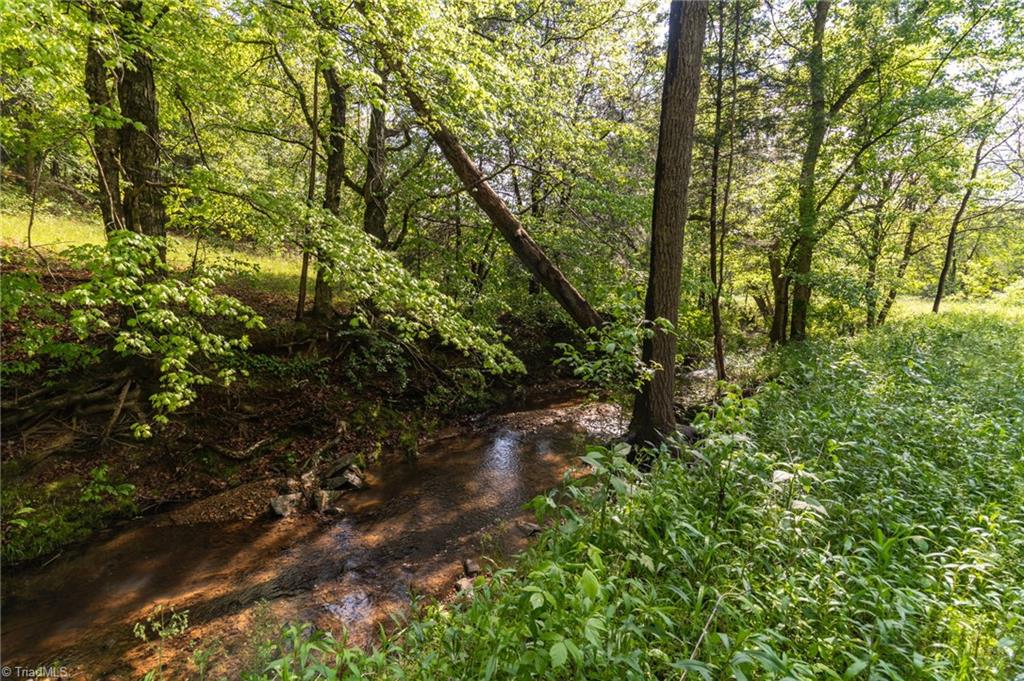 1105/1103 Thayer Road, Trinity, North Carolina image 43