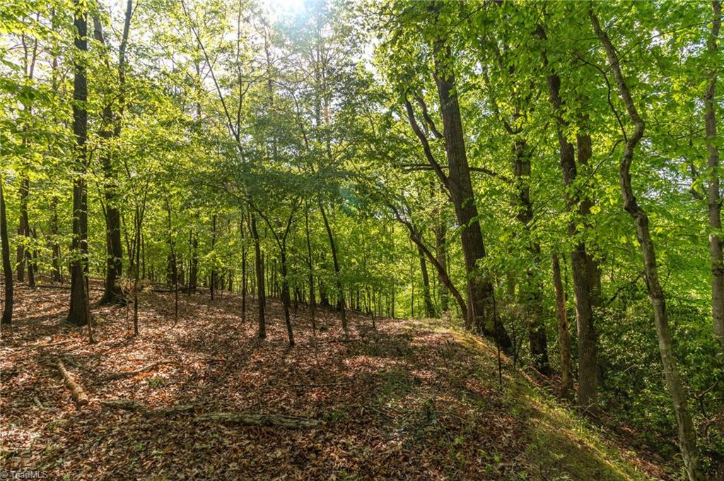 1105/1103 Thayer Road, Trinity, North Carolina image 46