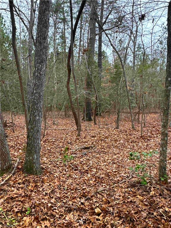 Lot 71 Pearl Drive, Lexington, North Carolina image 3