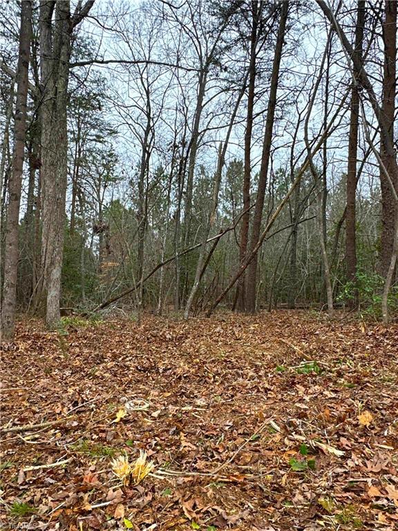 Lot 71 Pearl Drive, Lexington, North Carolina image 23