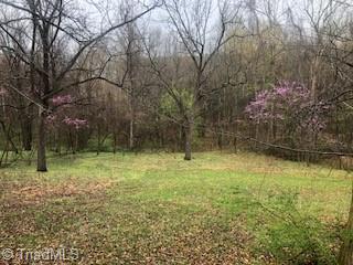 105 Wolf Den Court, Climax, North Carolina image 17
