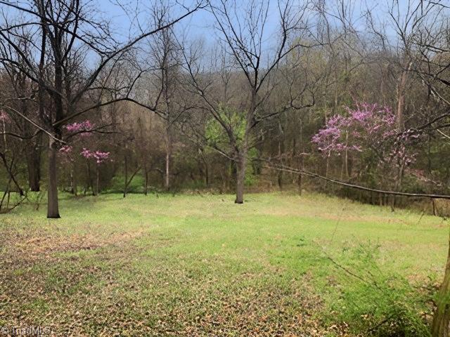 105 Wolf Den Court, Climax, North Carolina image 20