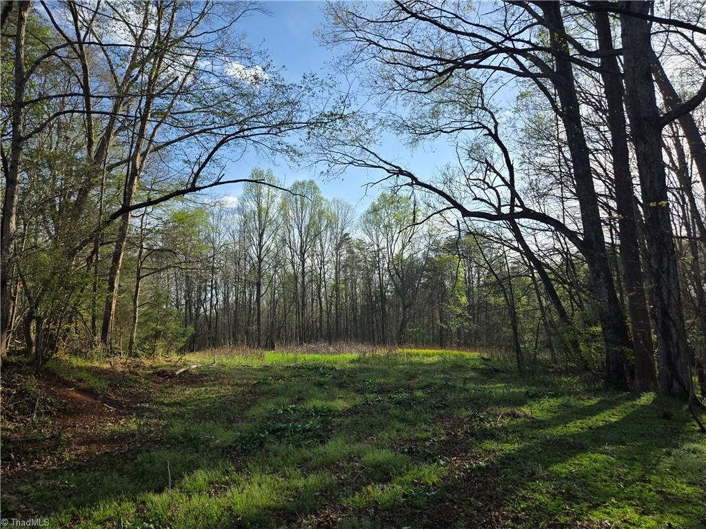 Falcon Road, East Bend, North Carolina image 14