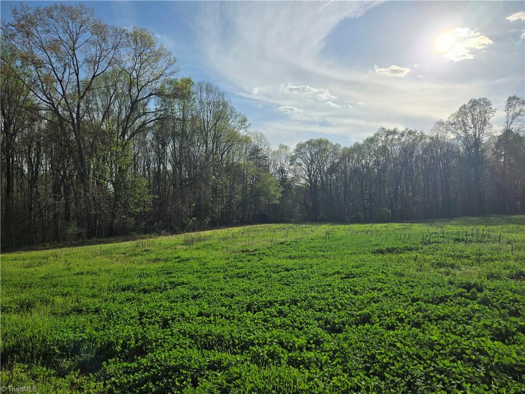 Falcon Road, East Bend, North Carolina image 31