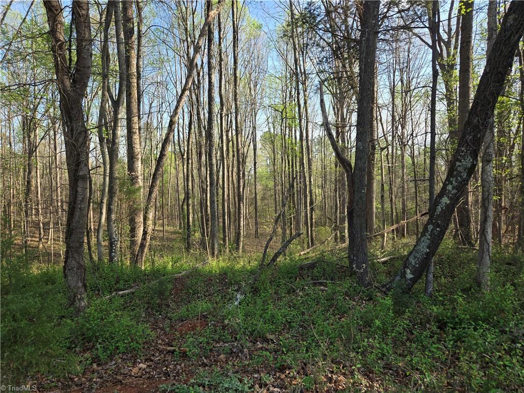 Falcon Road, East Bend, North Carolina image 8