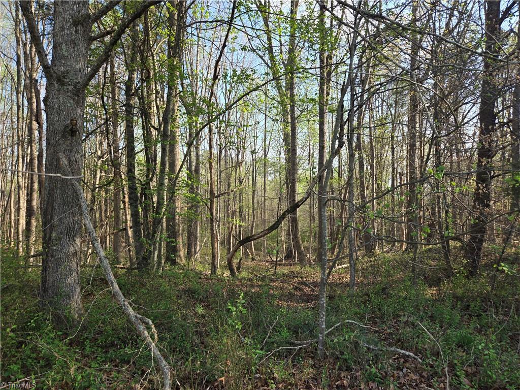 Falcon Road, East Bend, North Carolina image 10