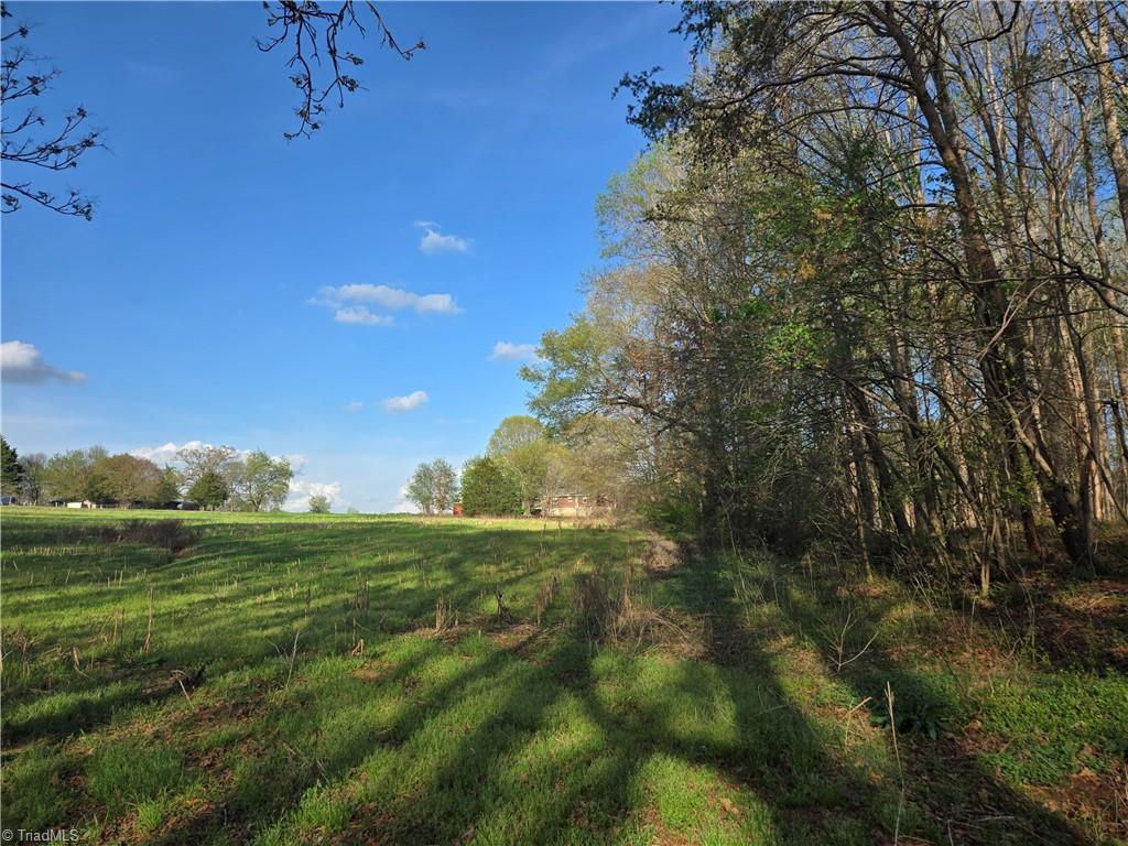 Falcon Road, East Bend, North Carolina image 28