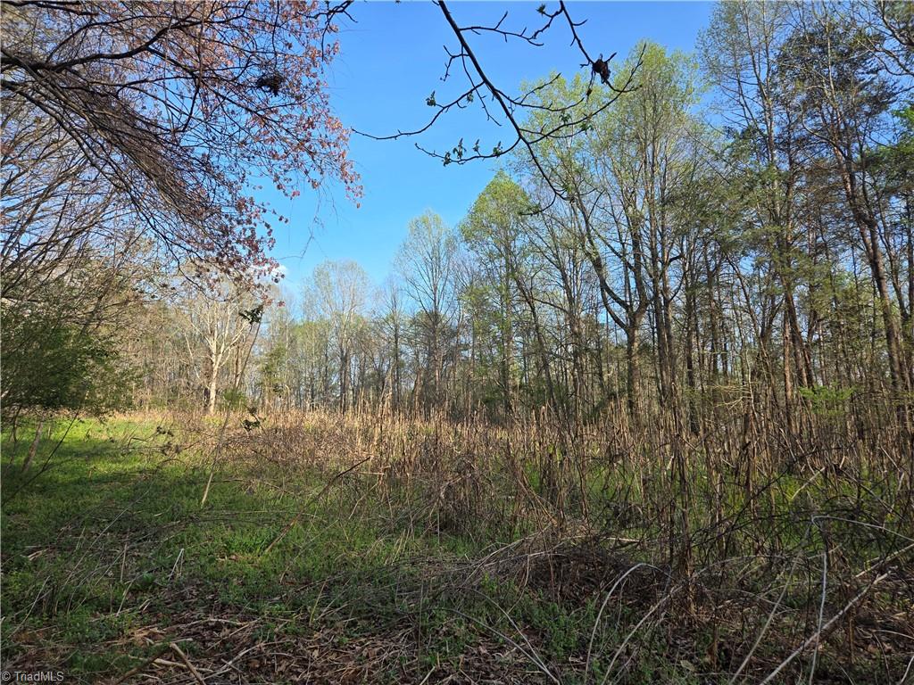 Falcon Road, East Bend, North Carolina image 20