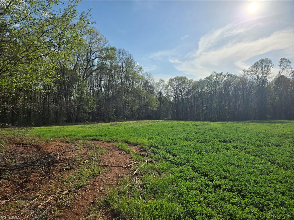 Falcon Road, East Bend, North Carolina image 3