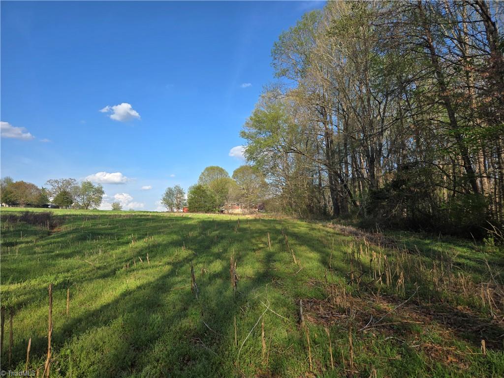 Falcon Road, East Bend, North Carolina image 13