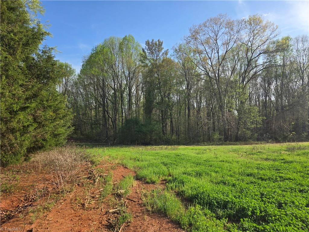 Falcon Road, East Bend, North Carolina image 32