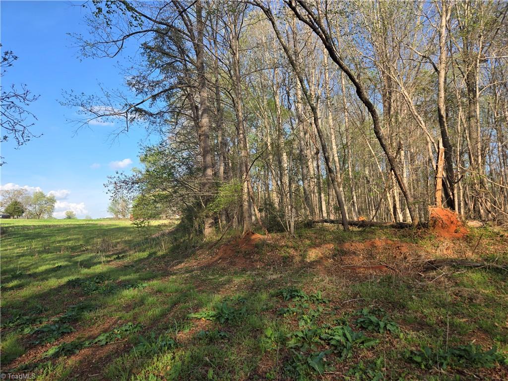 Falcon Road, East Bend, North Carolina image 27