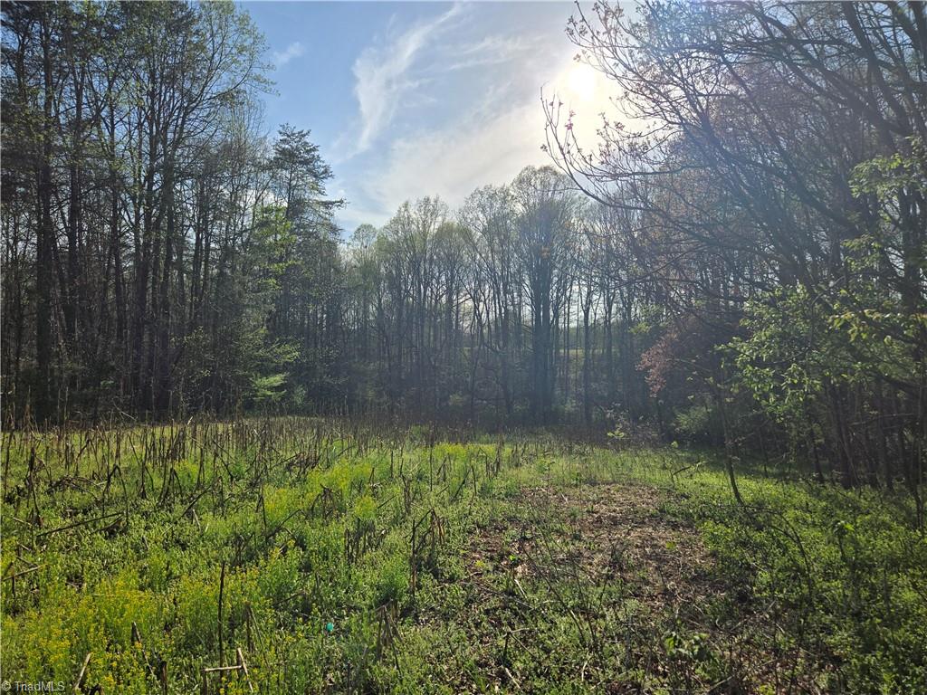 Falcon Road, East Bend, North Carolina image 18