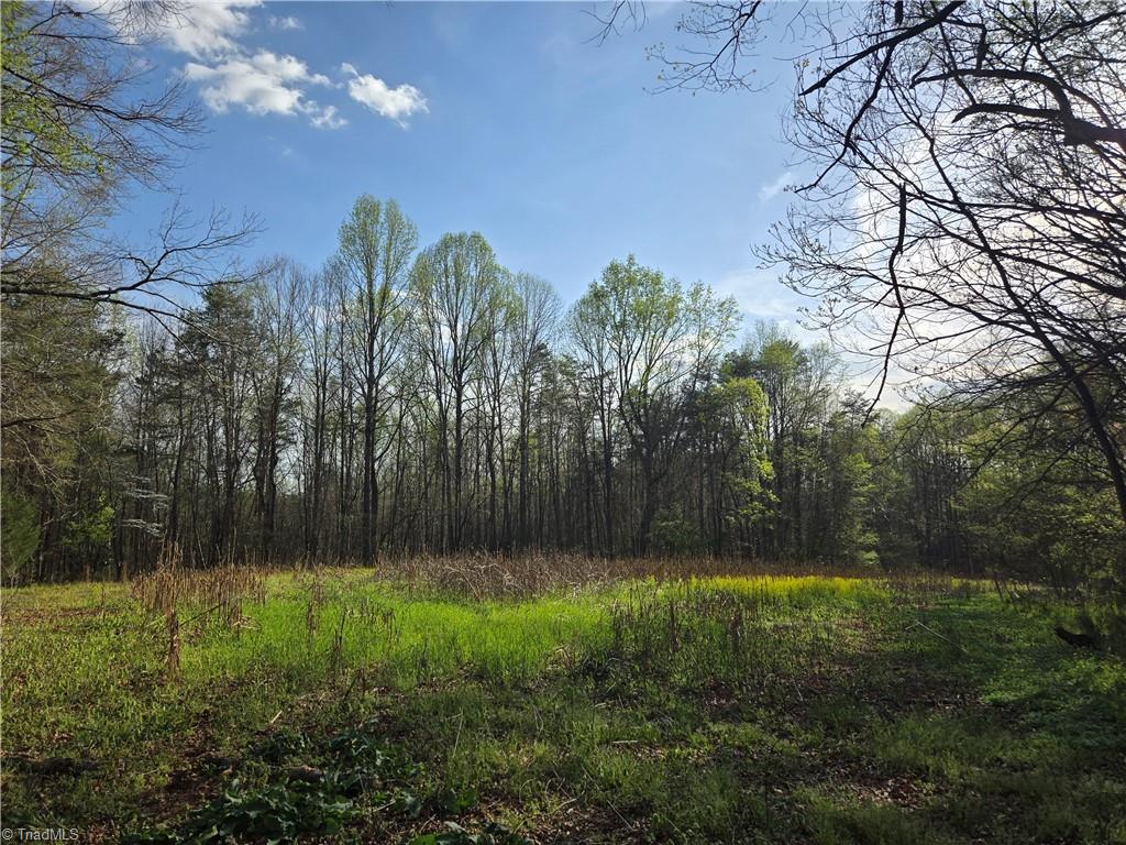 Falcon Road, East Bend, North Carolina image 15