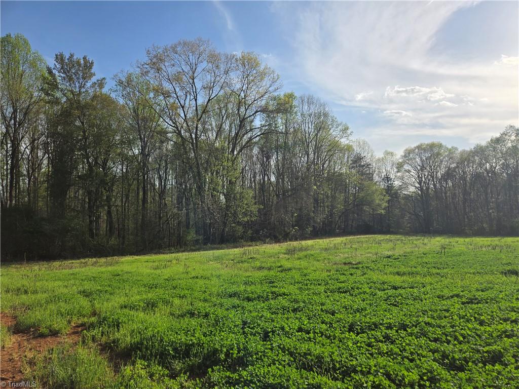 Falcon Road, East Bend, North Carolina image 33