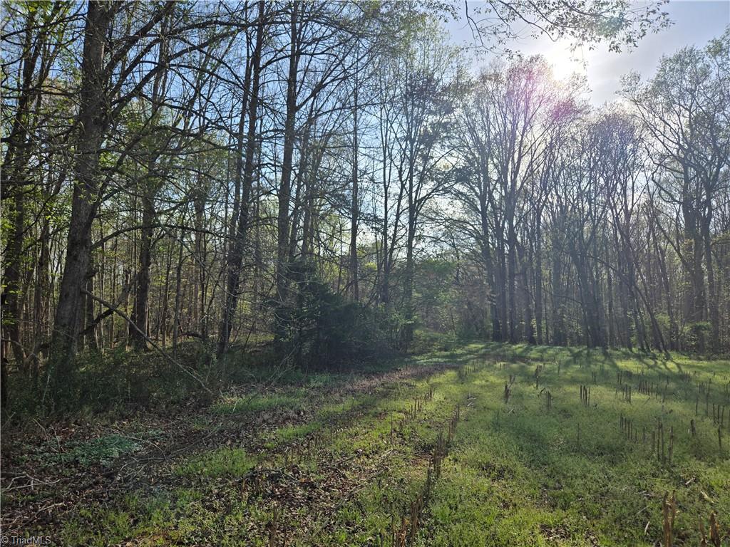 Falcon Road, East Bend, North Carolina image 7