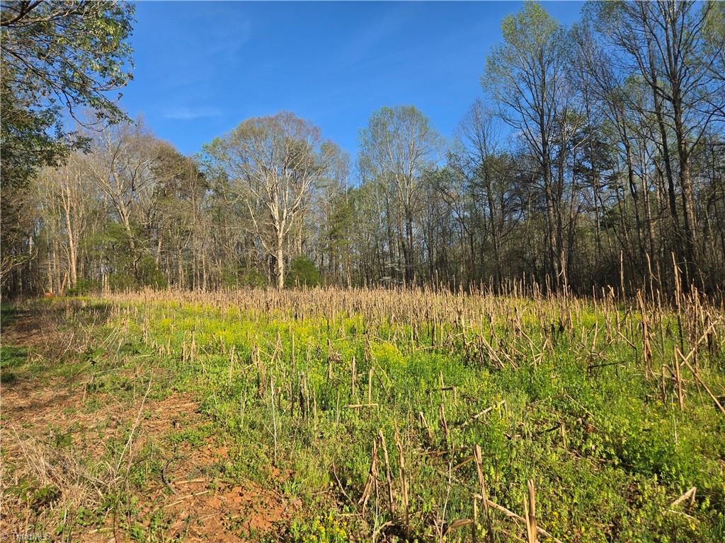 Falcon Road, East Bend, North Carolina image 26