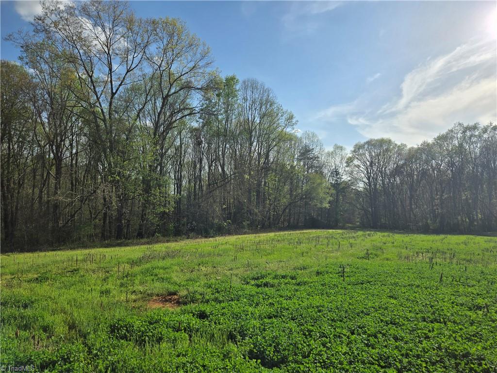 Falcon Road, East Bend, North Carolina image 5