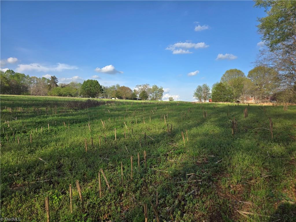 Falcon Road, East Bend, North Carolina image 29