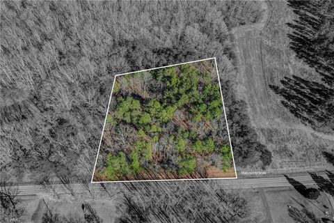 Vacant Land For Sale - 00 High Rock School Road<br/> Caswell County, Blanch, NC 27212