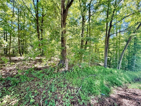 Vacant Land For Sale - 384 Riverview Lane<br/> Davidson County, Lexington, NC 27292