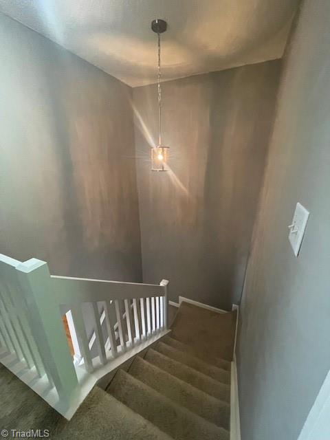 339 Malamute Lane, Greensboro, North Carolina image 20
