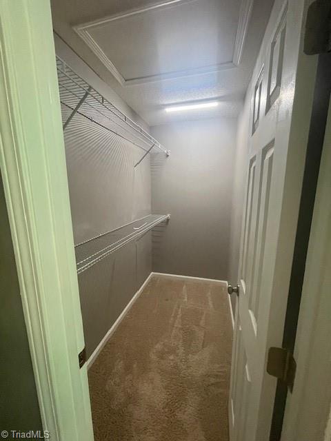 339 Malamute Lane, Greensboro, North Carolina image 15