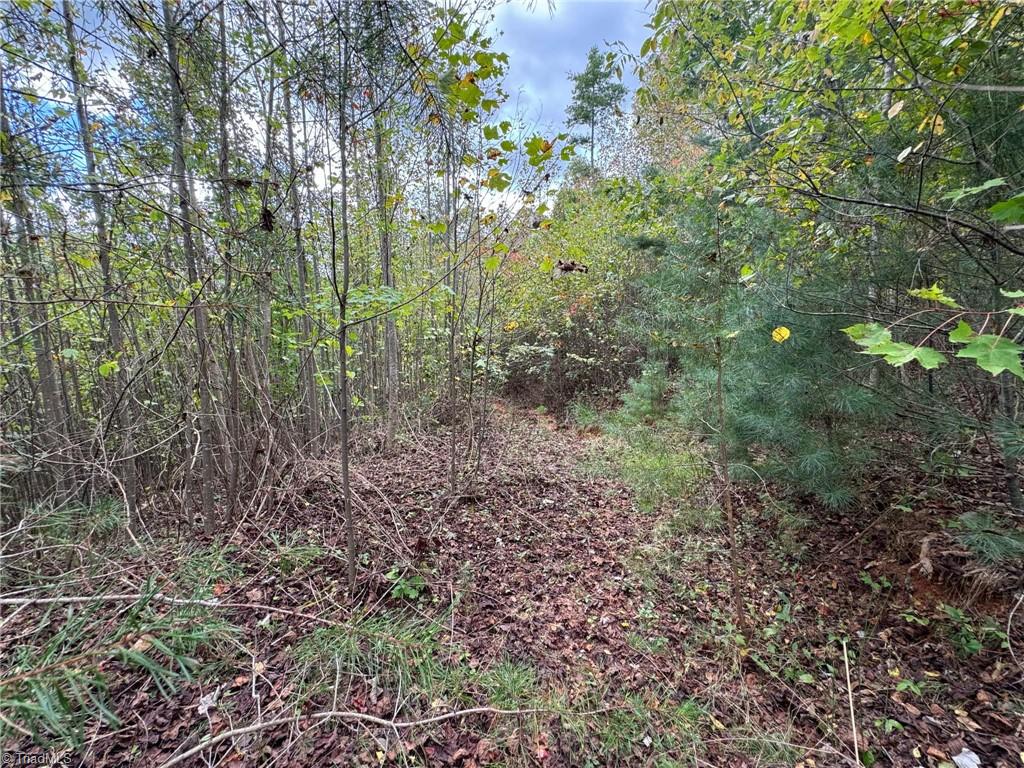 Lot 42 Billings Hill Church Road, Traphill, North Carolina image 15