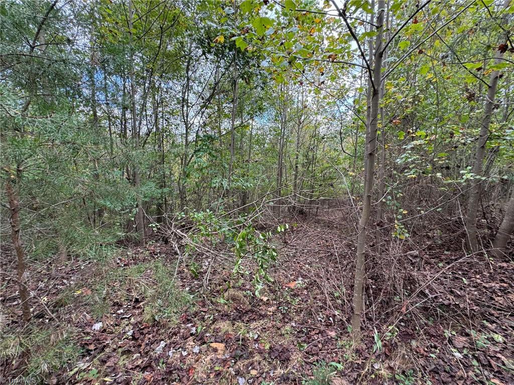 Lot 42 Billings Hill Church Road, Traphill, North Carolina image 12