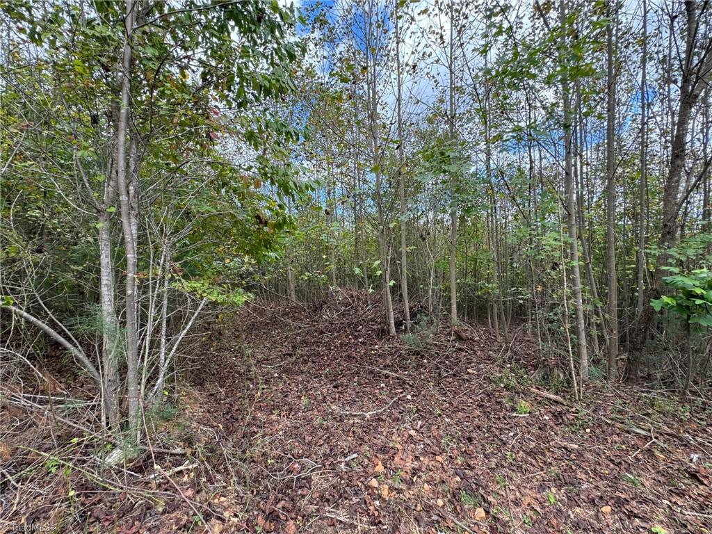 Lot 42 Billings Hill Church Road, Traphill, North Carolina image 21