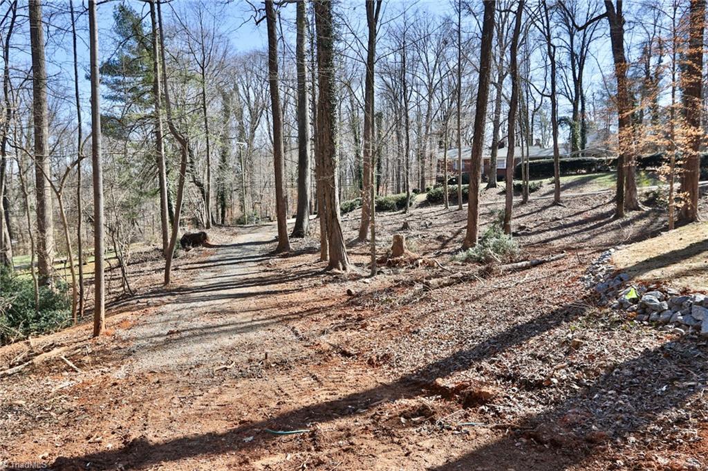 125 Dutchman Creek Road, Elkin, North Carolina image 42