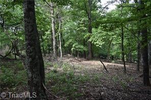 184 GRANDVIEW CIR, TRAPHILL, NC 28685 - Image c99cfe2de774ebe5d16d33ab4b36ada2/4064610411