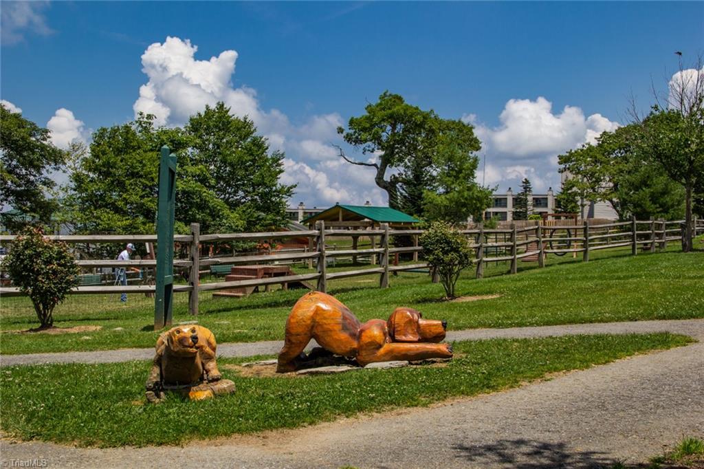 721 Pine Ridge Road, Beech Mountain, North Carolina image 38