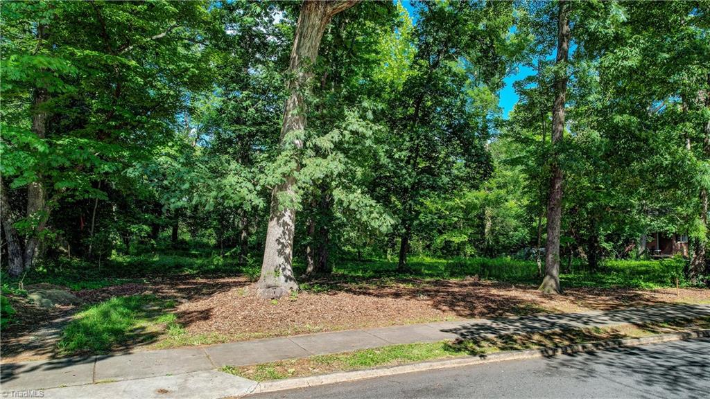 4204- B Henderson Road, Greensboro, North Carolina image 4
