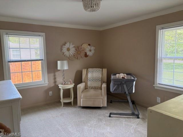 3703 Pershing Court, Greensboro, North Carolina image 22