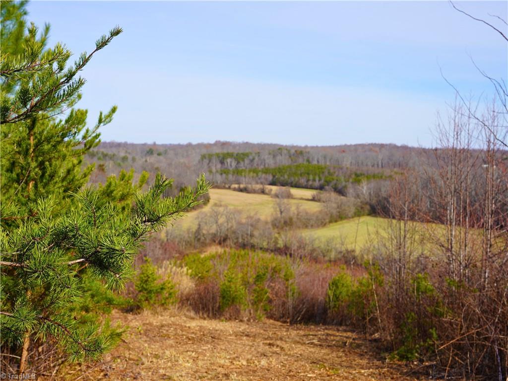 1180 Dick And Willie Road, Critz, Virginia image 11