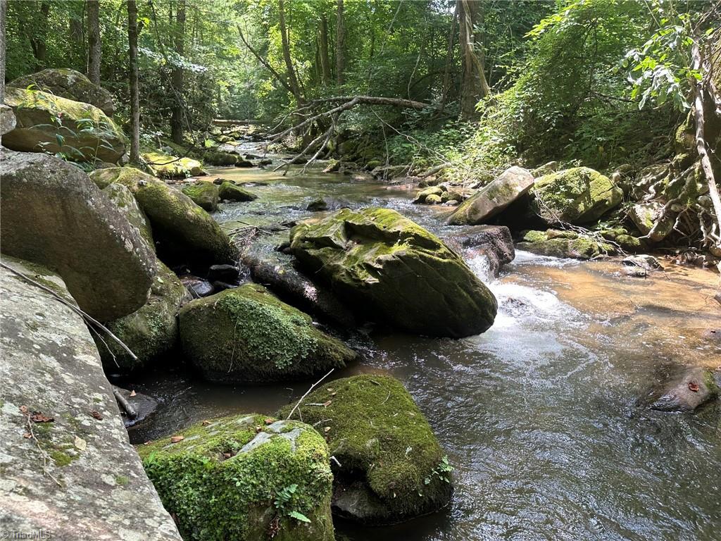 Off Statesville Road, North Wilkesboro, North Carolina image 22