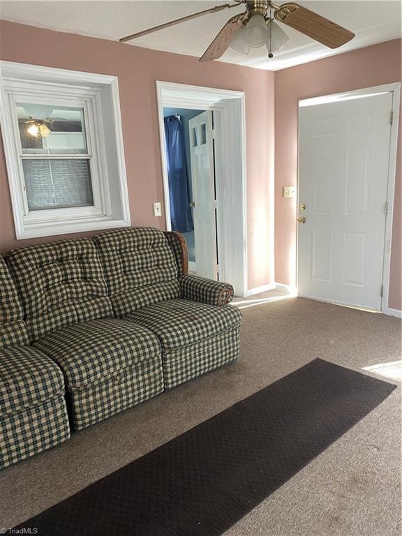 311 Johnsie Billie Harris Street, Eden, North Carolina image 22
