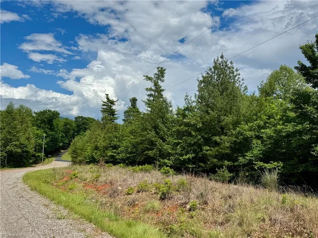 Lot #69 Turkey Trail, photo 5 of 7