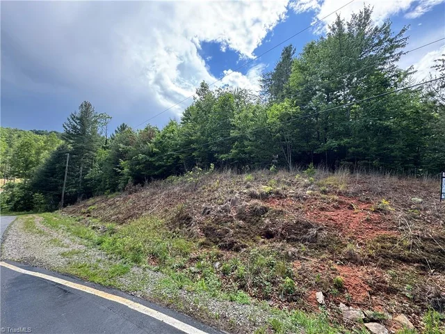 Lot #69 Turkey Trail, photo 4 of 7
