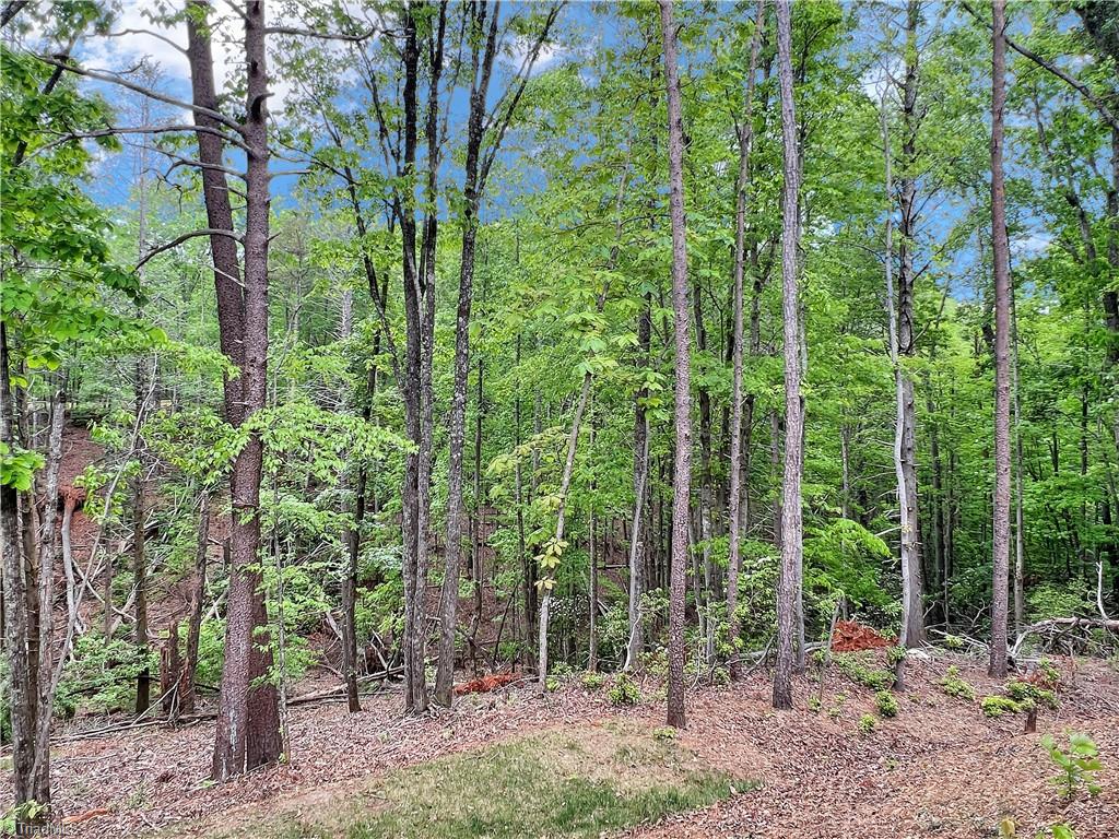 614 High Trail Drive, Nebo, North Carolina image 43