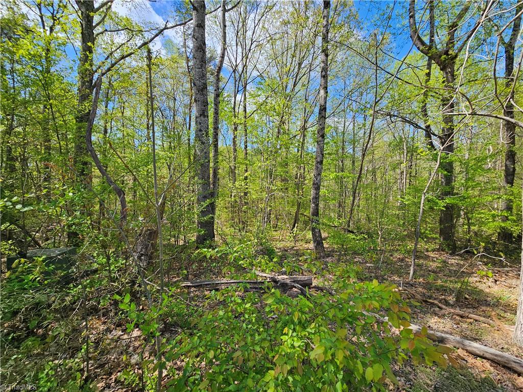 Xx Lot 8 Saura Woods Lane, Germanton, North Carolina image 2