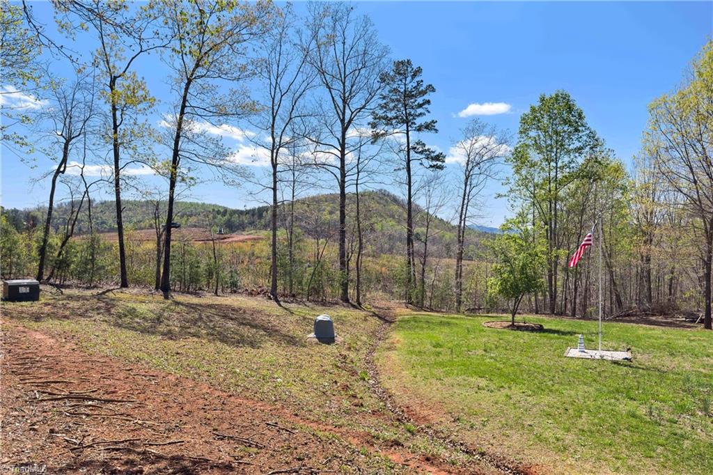 2567 Vein Mountain Road, Nebo, North Carolina image 14